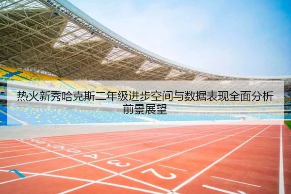 热火新秀哈克斯二年级进步空间与数据表现全面分析前景展望