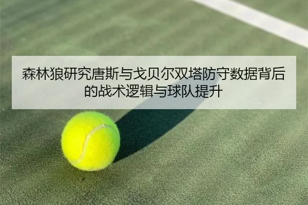 森林狼研究唐斯与戈贝尔双塔防守数据背后的战术逻辑与球队提升